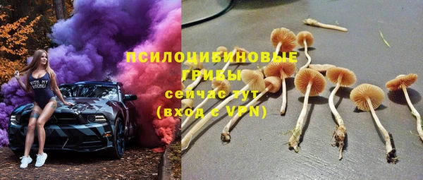 герыч Инсар