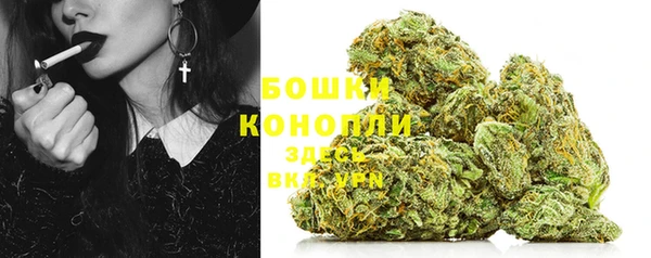 молекула духа Инта