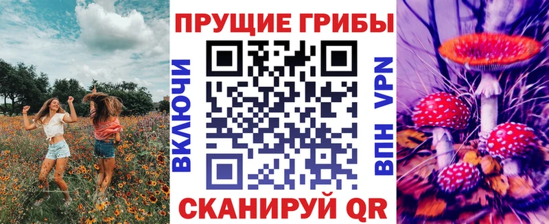 Купить где  Томмот  Псилоцибиновые грибы Psilocybe 